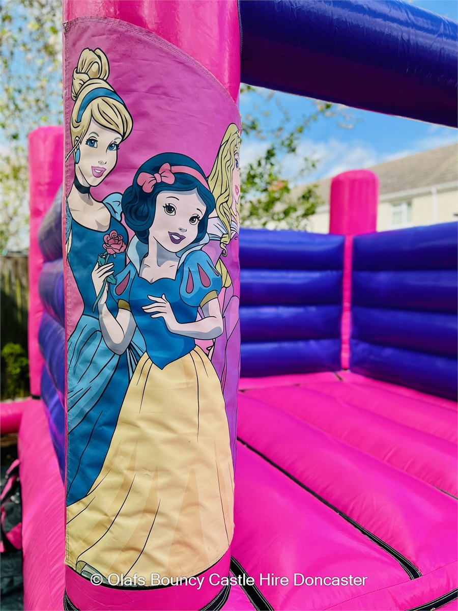 Disney Princess H-Frame Indoor Bouncy Castle For Hire In Doncaster