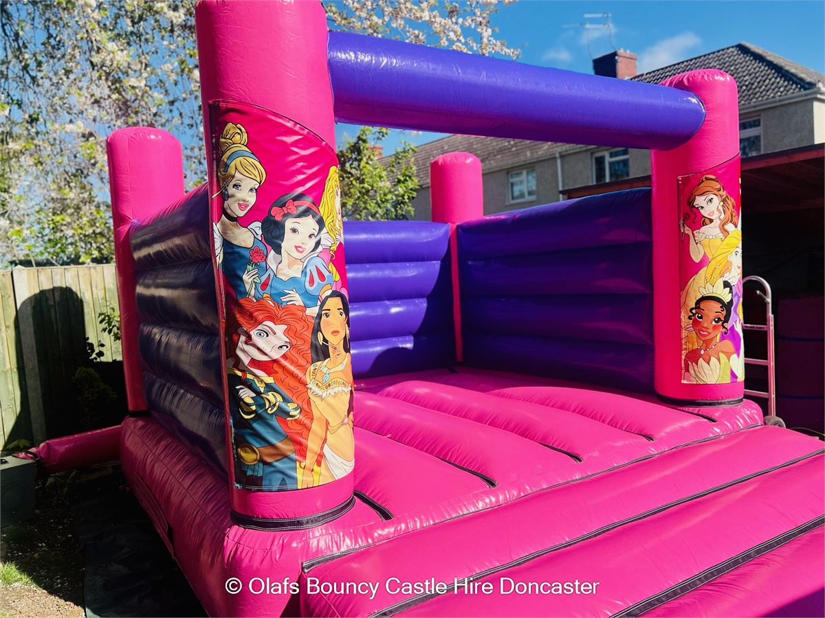 Disney Princess H-Frame Indoor Bouncy Castle For Hire In Doncaster