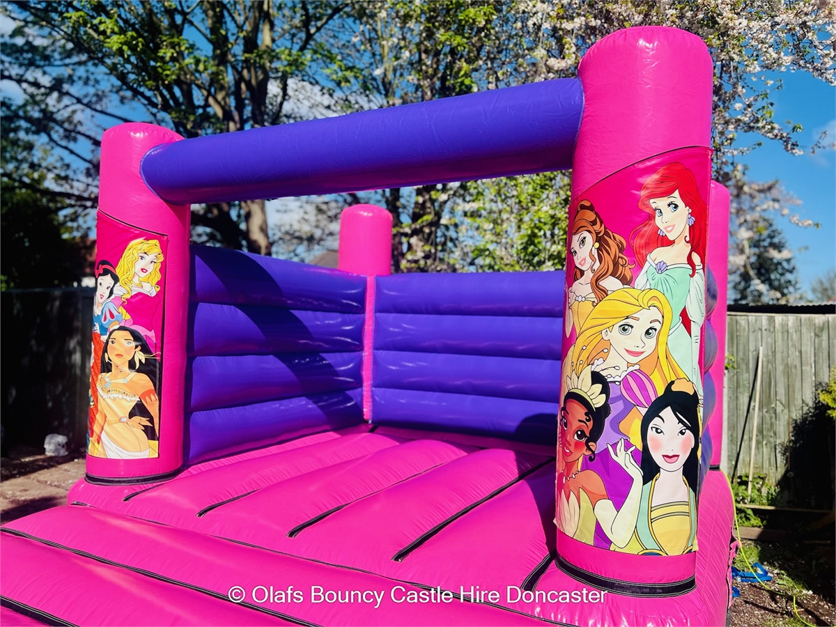 Disney Princess H-Frame Indoor Bouncy Castle For Hire In Doncaster