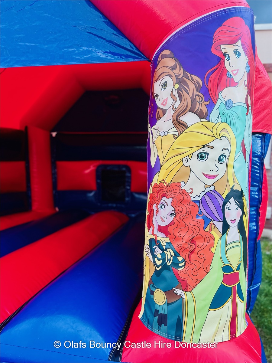 Disney Princess Purple Bouncy Castle For Hire In Doncaster, Rotherham